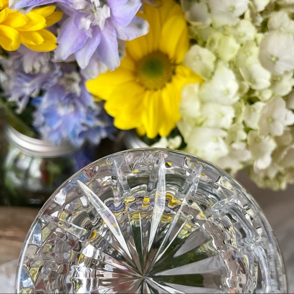 Rogaska Crystal•Set of (2) Double Old Fashioned Glasses•Richmond Pattern•Vintage - Picture 11 of 13